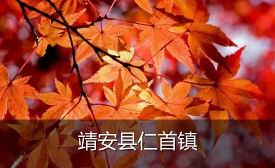 靖安县仁首镇